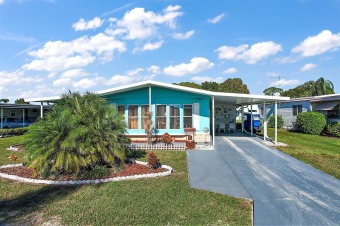Lake Frances Home For Sale in Tavares Florida