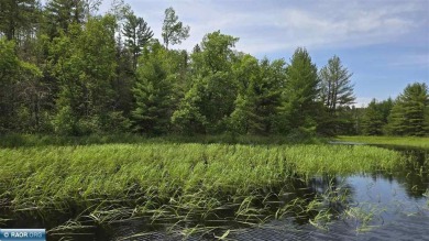 Crane Lake Acreage For Sale in Crane Lake Minnesota