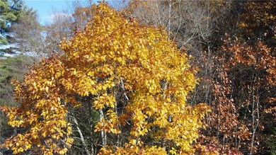 BACK ON THE MARKET AT A REDUCED PRICE!! Deal fell through, no - photo 5