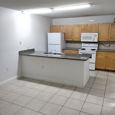 BEAUTIFUL 2BR/2.5BTH TOWNHOUSE W/ DIRECT LAKE VIEW. FULLY - photo 3