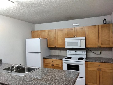 BEAUTIFUL 2BR/2.5BTH TOWNHOUSE W/ DIRECT LAKE VIEW. FULLY - photo 10