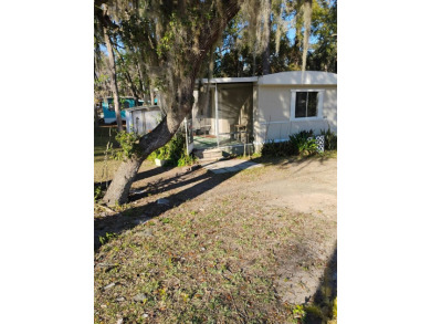 Lake Bryant Home For Sale in Ocklawaha Florida