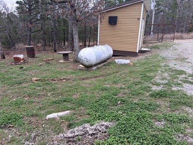 This 1000 sq ft home has 2 bed 2 bath and sits on 14.5 acres - photo 14
