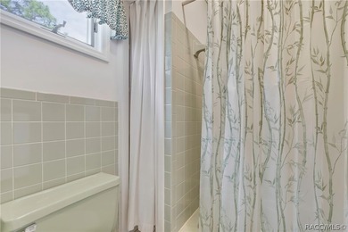 This home has never flooded!! Breathtaking Multi-Level Retreat - photo 17