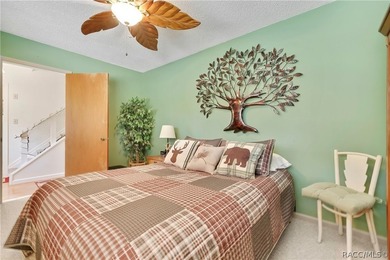This home has never flooded!! Breathtaking Multi-Level Retreat - photo 19