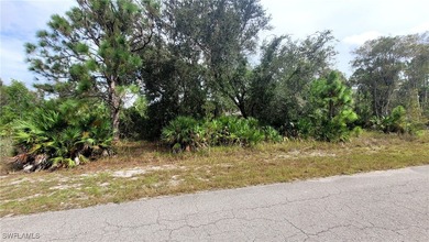 Lehigh Acres Area Lot For Sale in Lehigh Acres Florida