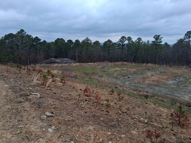 This 1000 sq ft home has 2 bed 2 bath and sits on 14.5 acres - photo 21