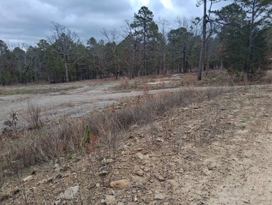 This 1000 sq ft home has 2 bed 2 bath and sits on 14.5 acres - photo 22