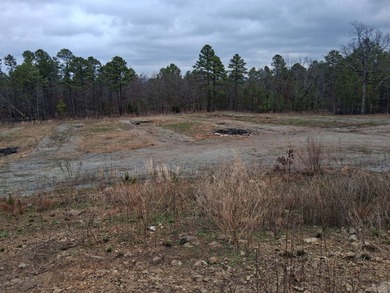 This 1000 sq ft home has 2 bed 2 bath and sits on 14.5 acres - photo 23