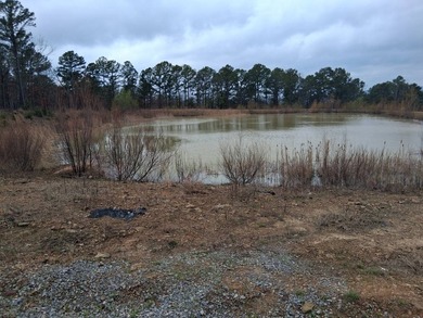 This 1000 sq ft home has 2 bed 2 bath and sits on 14.5 acres - photo 28