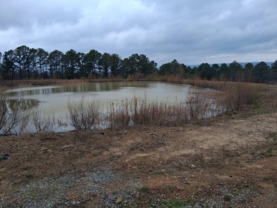This 1000 sq ft home has 2 bed 2 bath and sits on 14.5 acres - photo 29