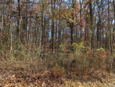 Lake Lot For Sale in Scottsboro, Alabama