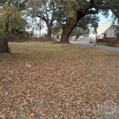Attention Contractors. Looking for a lot for a new construction - photo 2