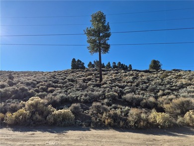 Baldwin Lake Lot For Sale in Big Bear City California