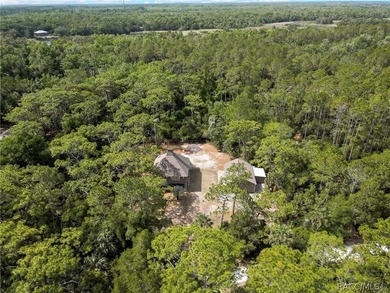 This home has never flooded!! Breathtaking Multi-Level Retreat - photo 46