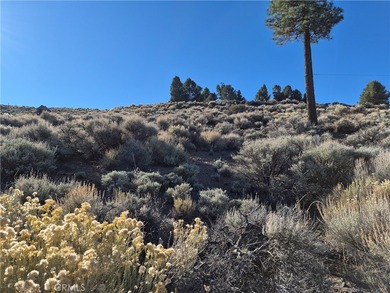 Rustic Canyon - photo 8