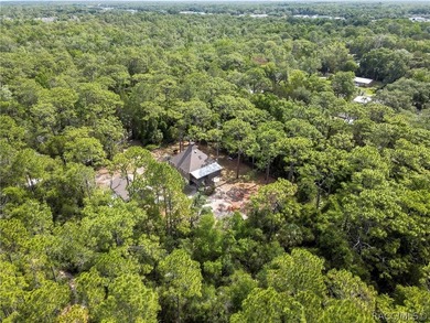 This home has never flooded!! Breathtaking Multi-Level Retreat - photo 49