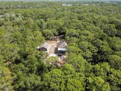 This home has never flooded!! Breathtaking Multi-Level Retreat - photo 50
