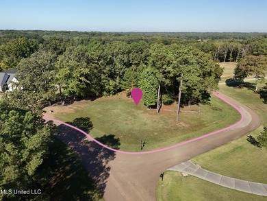 Rare corner, elevated wooded lot in gated Gray's Creek - photo 2