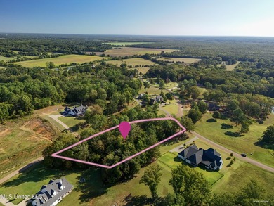 Rare corner, elevated wooded lot in gated Gray's Creek - photo 4