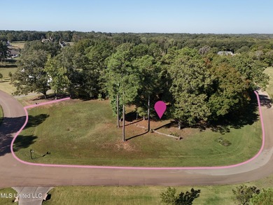 Rare corner, elevated wooded lot in gated Gray's Creek - photo 5