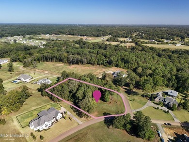Rare corner, elevated wooded lot in gated Gray's Creek - photo 6