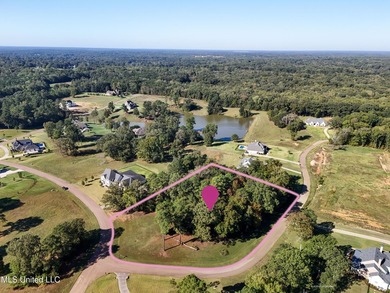 Rare corner, elevated wooded lot in gated Gray's Creek - photo 8