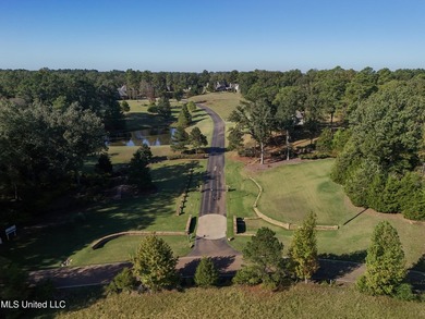 Rare corner, elevated wooded lot in gated Gray's Creek - photo 9