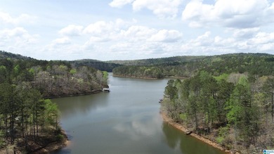 Very buildable lot just off the Big Tallapoosa in Ratley's Cove - photo 7