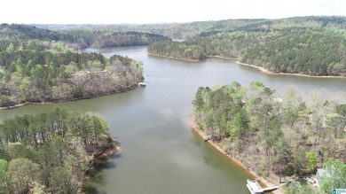 Very buildable lot just off the Big Tallapoosa in Ratley's Cove - photo 8