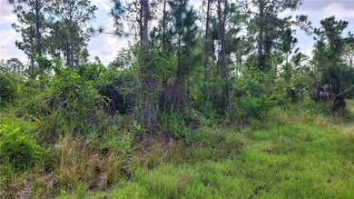 Lehigh Acres Area Lot For Sale in Lehigh Acres Florida