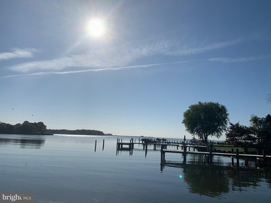 To-be-built waterfront residence offering 4 bedrooms and 4 full - photo 4