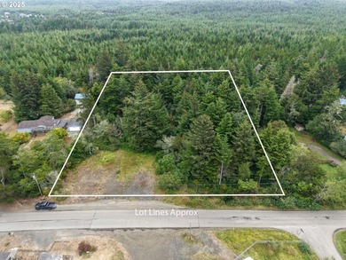 2 ACRES,CITY SERVICES, DIVIDABLE Discover the possibilities with - photo 6
