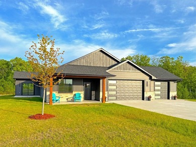 Be the first to experience this vibrant, modern patio home, the - photo 8