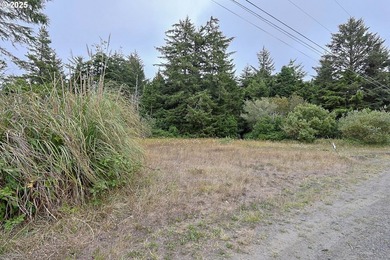 2 ACRES,CITY SERVICES, DIVIDABLE Discover the possibilities with - photo 9