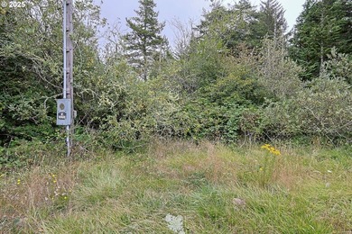 2 ACRES,CITY SERVICES, DIVIDABLE Discover the possibilities with - photo 10