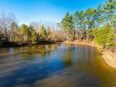 (private lake, pond, creek) Acreage For Sale in Mammoth Spring Arkansas
