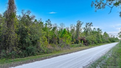 Lake Lot For Sale in Lake Placid, Florida