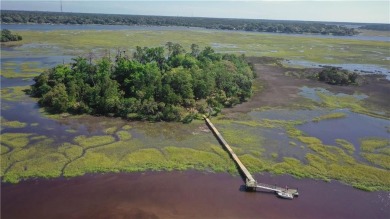 Lake Acreage For Sale in Other, Georgia