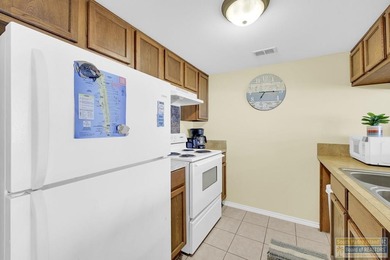 Own a turnkey coastal investment at Gulfpoint Condominiums in - photo 11