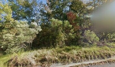 Hardy Lake Lot Sale Pending in Evans Georgia