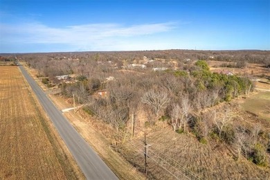 Desirable 3 acres +/- and comes with a Boat Dock (approximately - photo 7