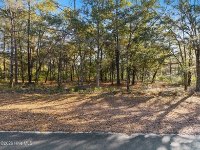 (private lake, pond, coastal) Lot For Sale in Supply North Carolina