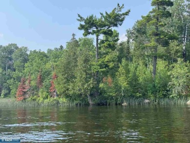 Lake Acreage For Sale in Tower, Minnesota