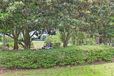 Luxury living in the gated golf and boating community of Regatta - photo 29