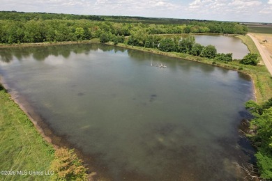 145+/- acres for sale in Coahoma County, located on Jenkins Road - photo 1
