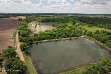 145+/- acres for sale in Coahoma County, located on Jenkins Road - photo 3