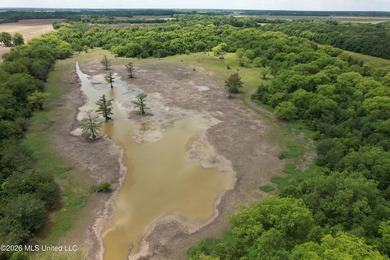 145+/- acres for sale in Coahoma County, located on Jenkins Road - photo 4