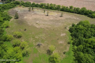 145+/- acres for sale in Coahoma County, located on Jenkins Road - photo 6
