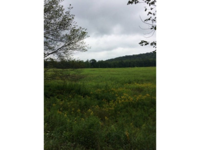 (private lake, pond, creek) Acreage For Sale in Woodbourne New York